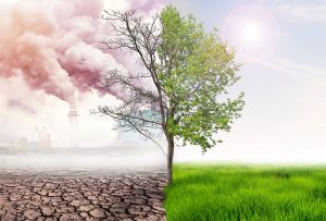 comparing green earth and effect of air pollution from human action, glbal warming concept, green tree and green earth with light and arid land with air pollusion at background